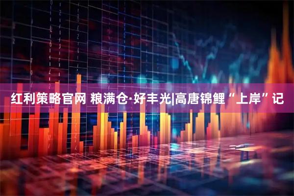 红利策略官网 粮满仓·好丰光|高唐锦鲤“上岸”记